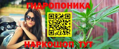 Альфа ПВП Краснокаменск