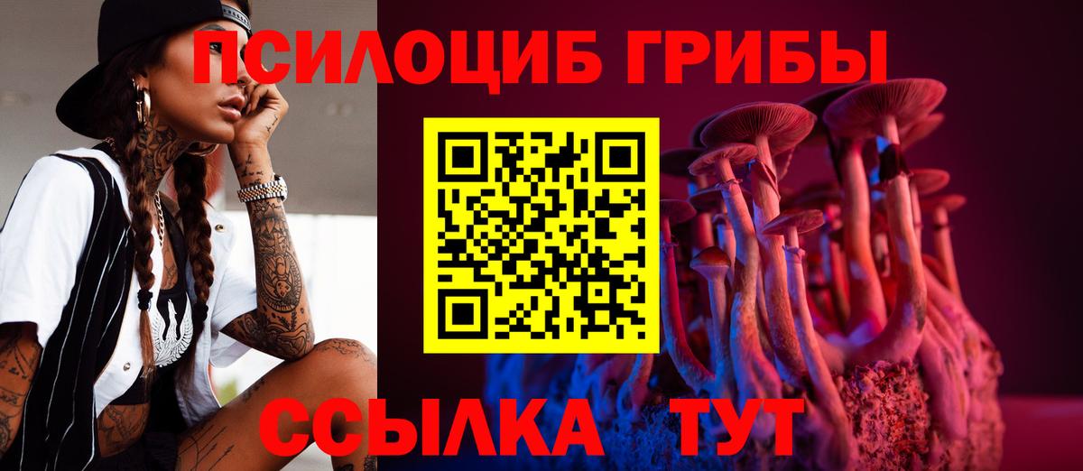цена наркотик  Вход с VPN  Галлюциногенные грибы Psilocybine cubensis  Городец  Галлюциногенные грибы Cubensis 